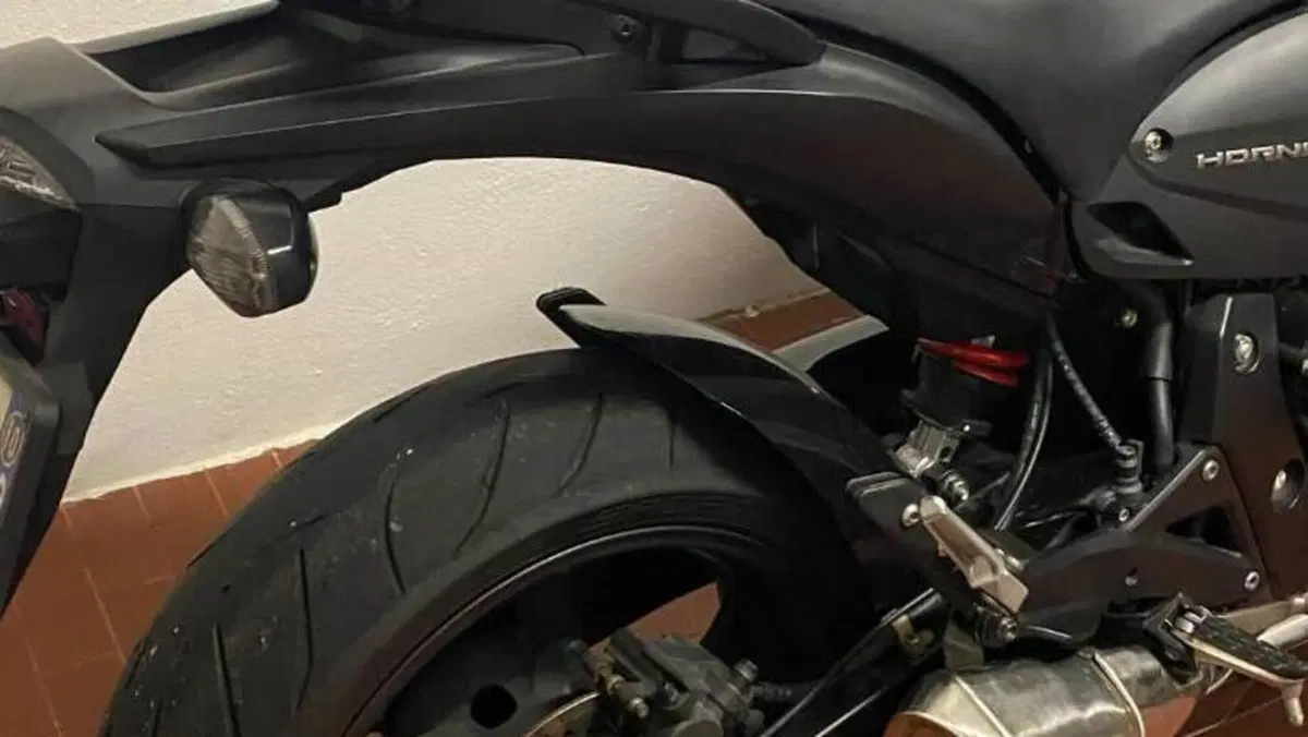 Honda Hornet 600 (2007 - 10)  (3)