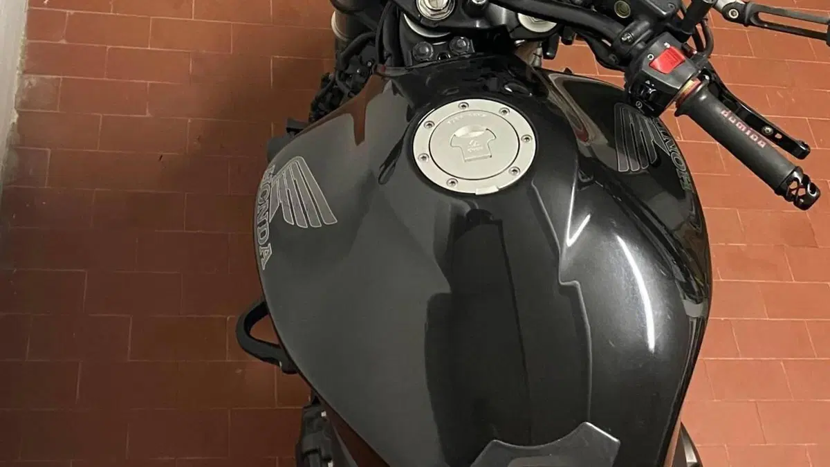 Honda Hornet 600 (2007 - 10)  (4)