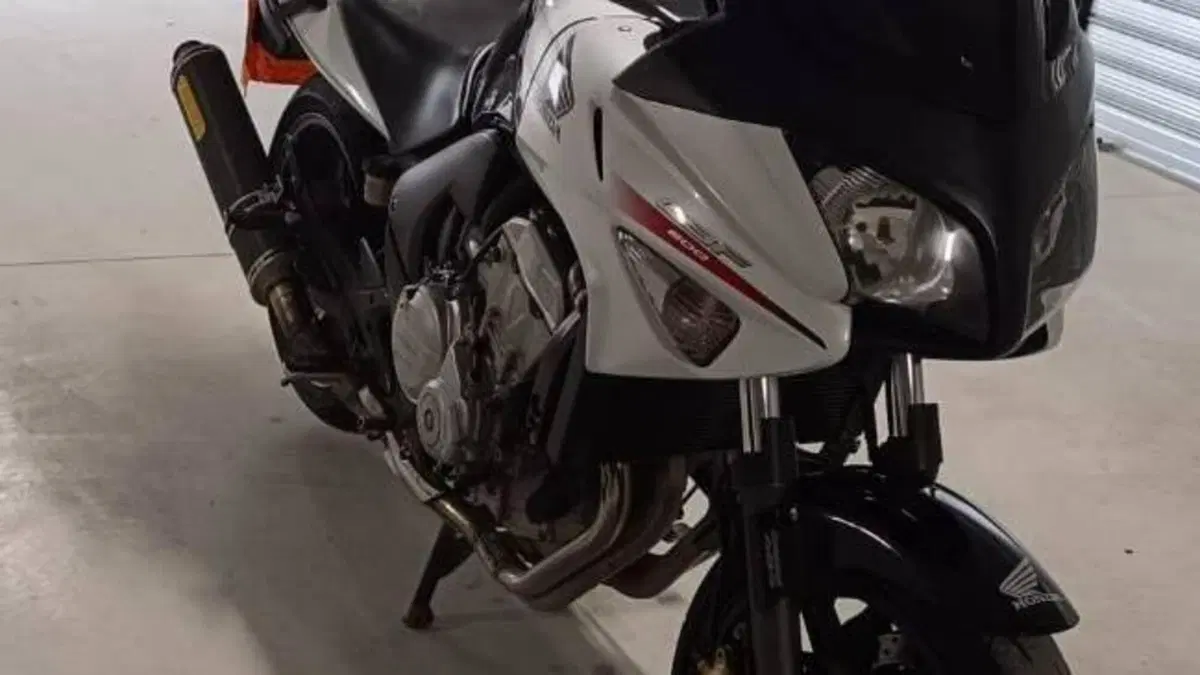 Honda CBF 600 S (2007 - 12)  (5)
