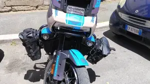Harley-Davidson Pan America 1250 Special (2020 - 25) 