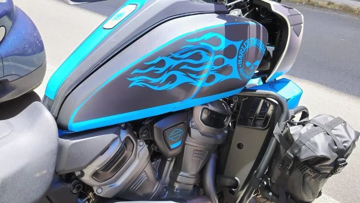 Harley-Davidson Pan America 1250 Special (2020 - 25)  (3)
