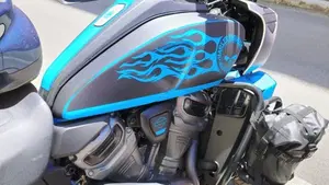Harley-Davidson Pan America 1250 Special (2020 - 25)  (3)