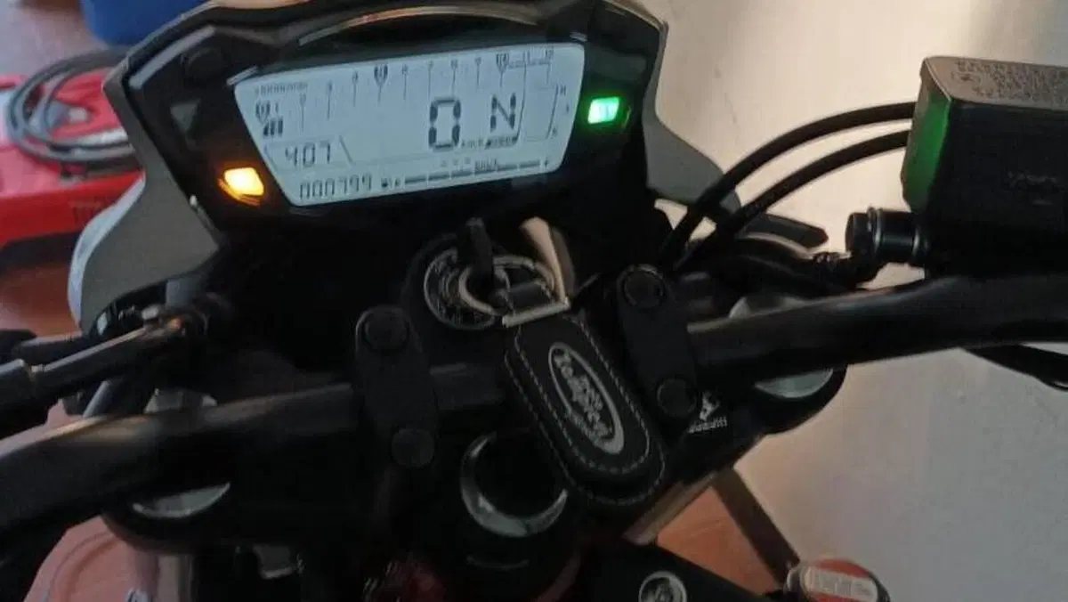 Suzuki SV 650 (2016 - 20) 