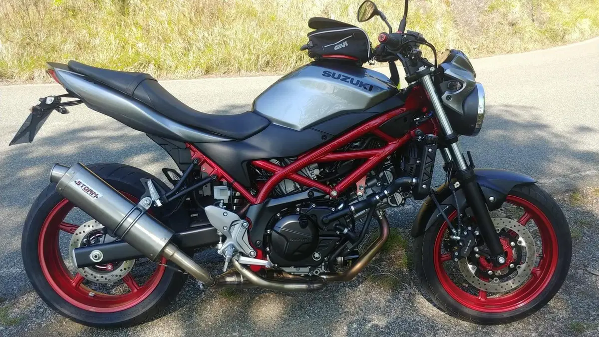Suzuki SV 650 (2016 - 20)  (2)