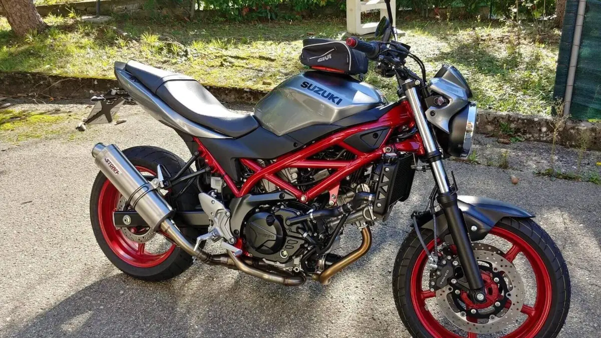 Suzuki SV 650 (2016 - 20)  (4)