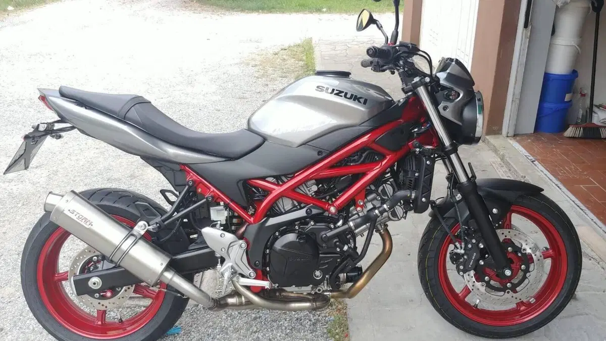Suzuki SV 650 (2016 - 20)  (5)