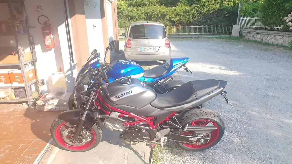 Suzuki SV 650 (2016 - 20)  (6)