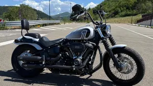 Harley-Davidson Street Bob 114 (2021 - 24) 