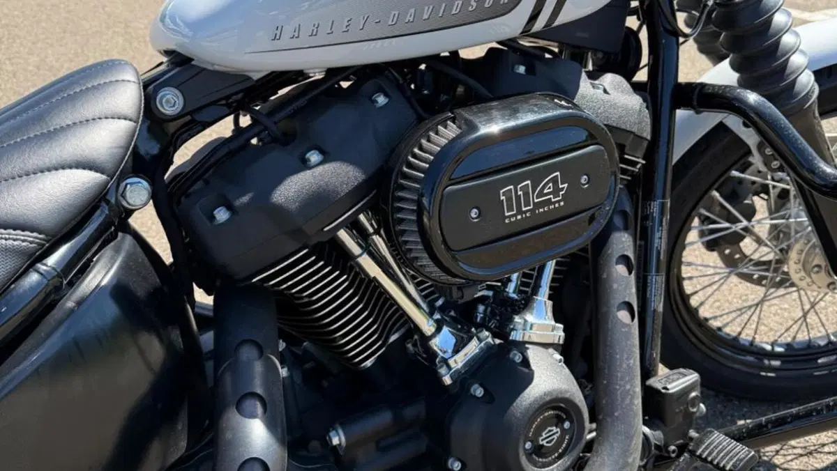 Harley-Davidson Street Bob 114 (2021 - 24)  (8)