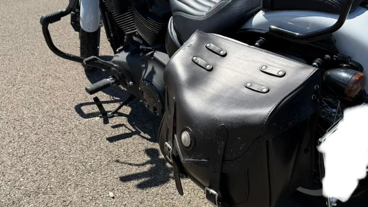 Harley-Davidson Street Bob 114 (2021 - 24)  (11)