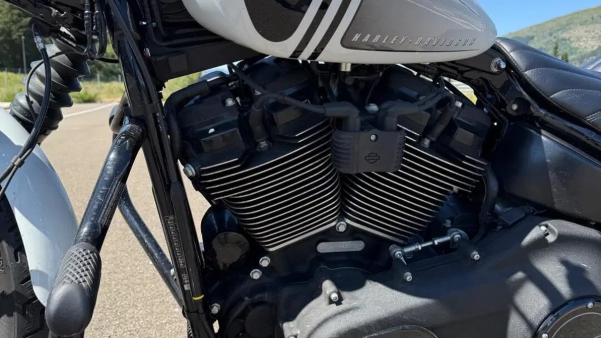 Harley-Davidson Street Bob 114 (2021 - 24)  (13)