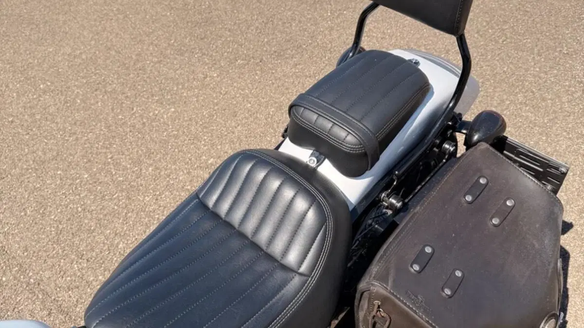 Harley-Davidson Street Bob 114 (2021 - 24)  (14)