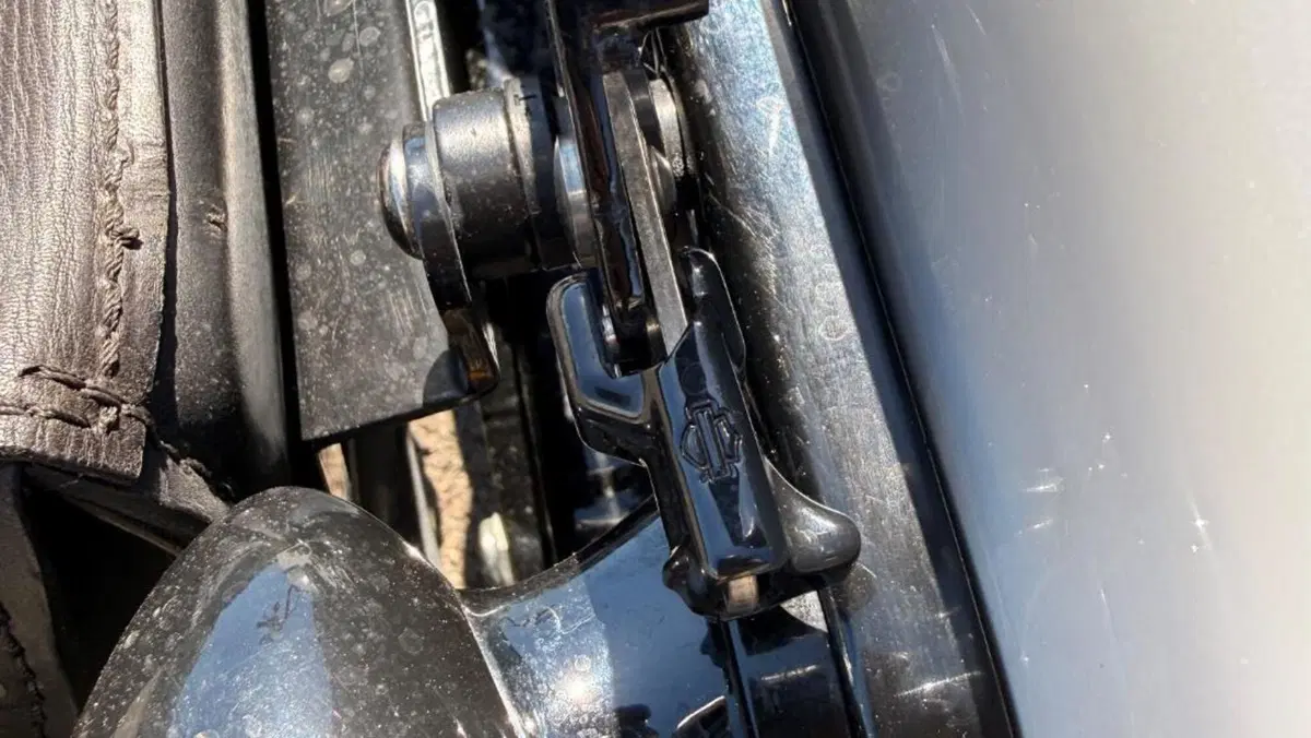 Harley-Davidson Street Bob 114 (2021 - 24)  (15)