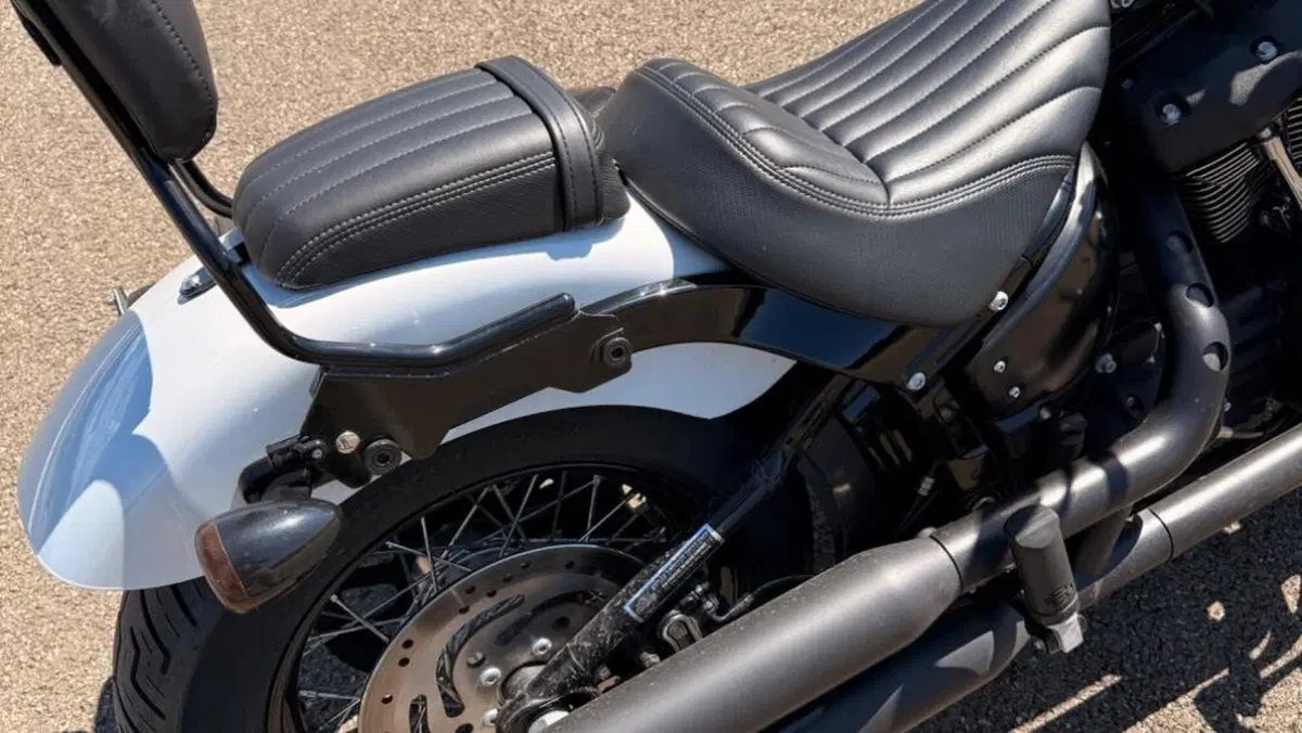 Harley-Davidson Street Bob 114 (2021 - 24)  (16)