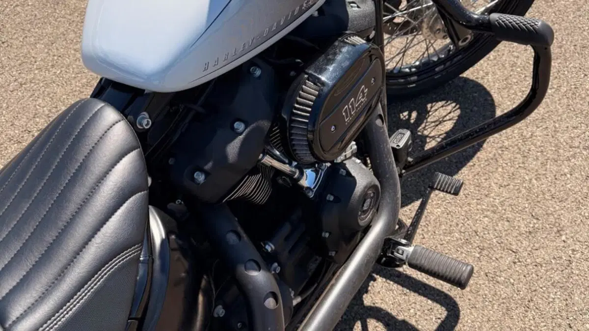 Harley-Davidson Street Bob 114 (2021 - 24)  (17)