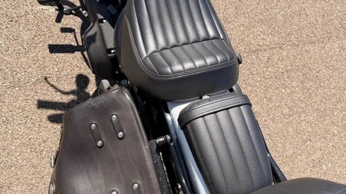Harley-Davidson Street Bob 114 (2021 - 24)  (19)