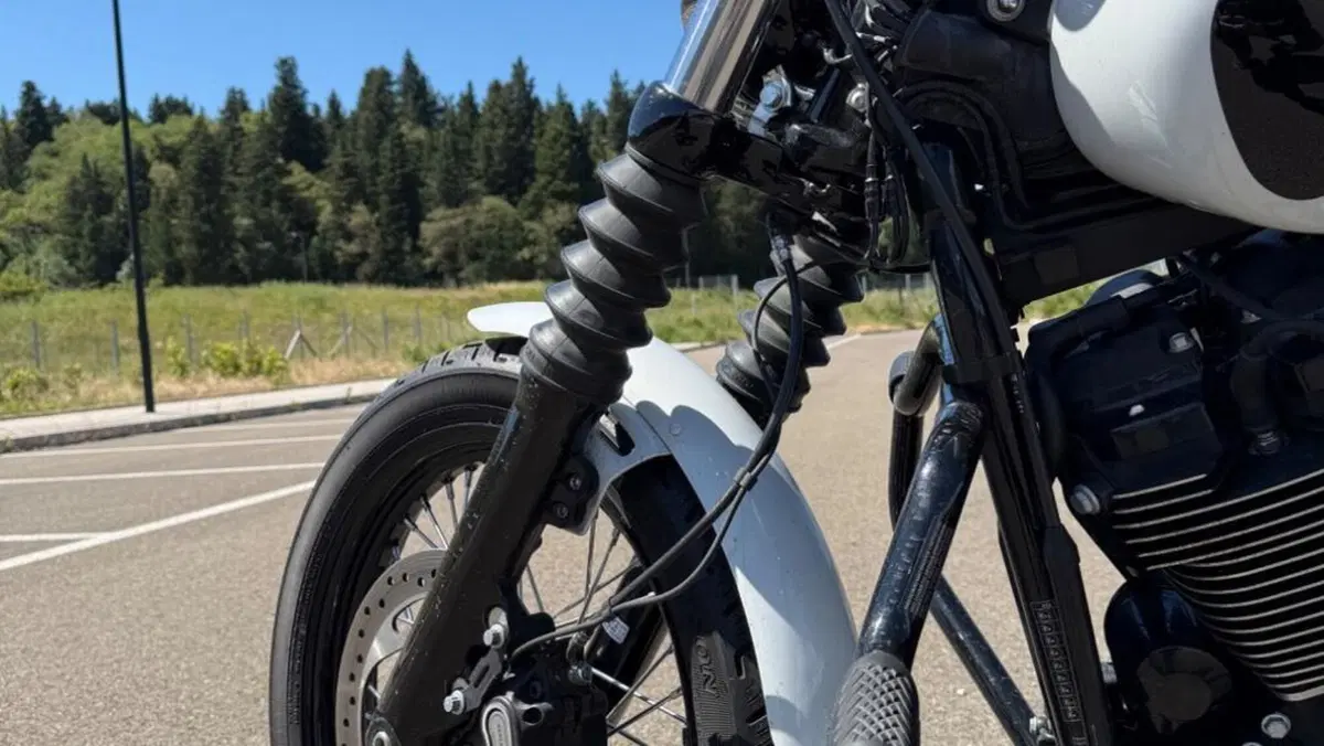 Harley-Davidson Street Bob 114 (2021 - 24)  (20)