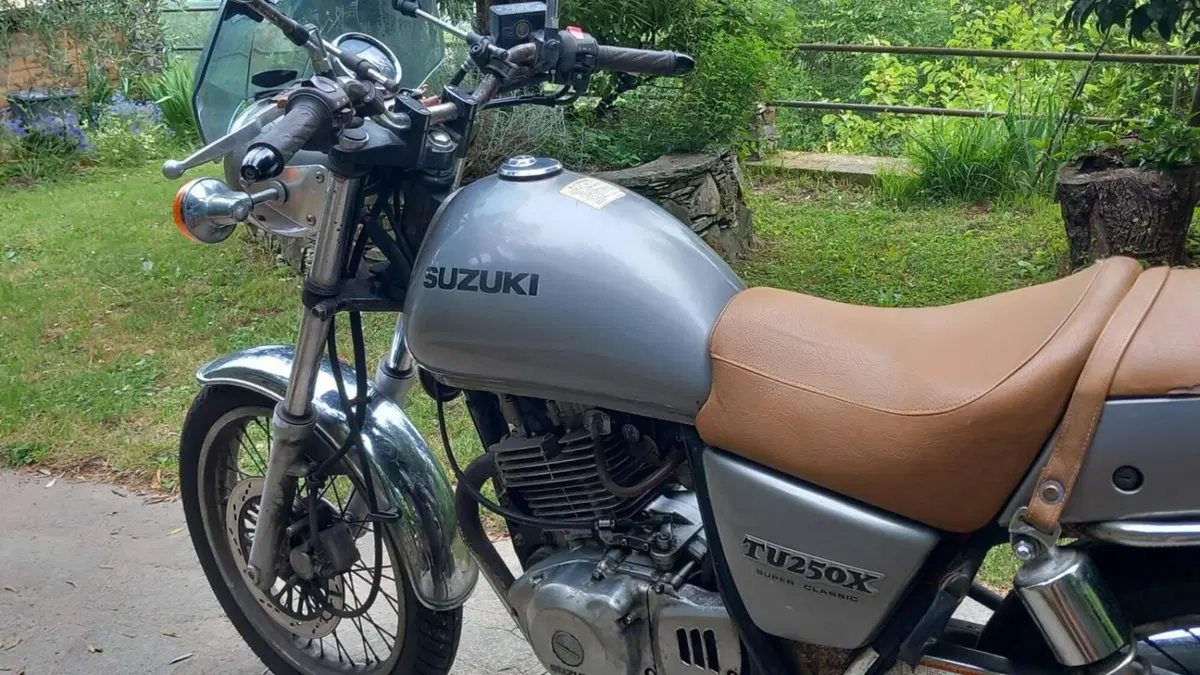 Suzuki TU 250 XX Super Classic (1996 - 00)  (6)