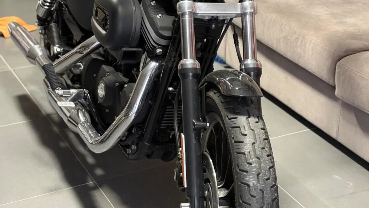 Harley-Davidson 883 R (2006 - 07) - XL 883R  (4)