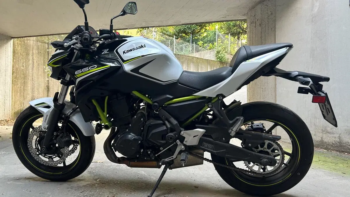 Kawasaki Z 650 (2020) 