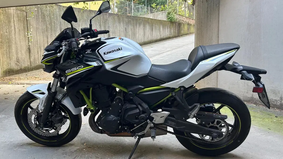 Kawasaki Z 650 (2020)  (4)