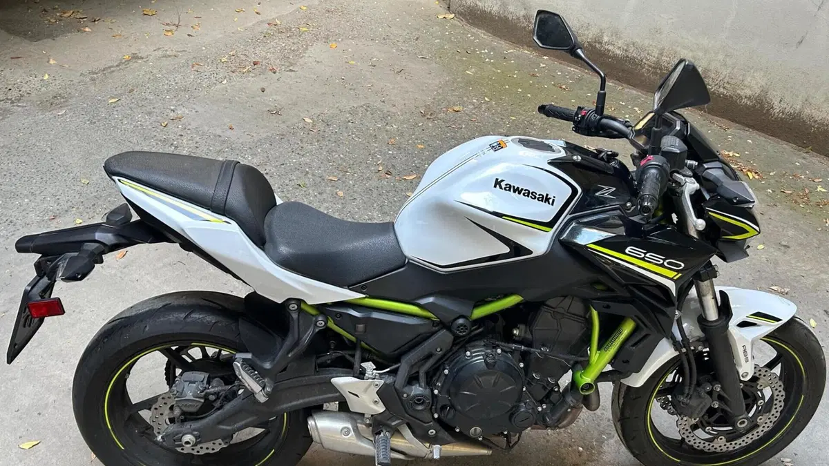 Kawasaki Z 650 (2020)  (5)