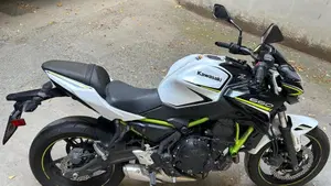 Kawasaki Z 650 (2020)  (5)
