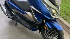 Honda Forza 350 (2022 - 24) 