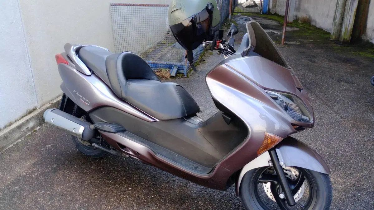 Honda Forza 250 X (2005 - 07) 