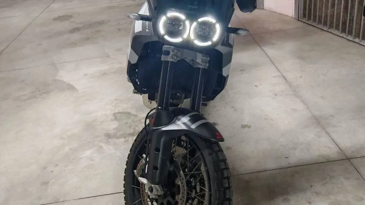 Ducati DesertX (2022 - 25) 