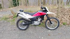 Husqvarna TE 630 (2010 - 13)  (2)