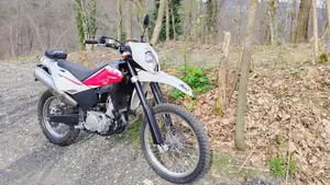 Husqvarna TE 630 (2010 - 13)  (4)