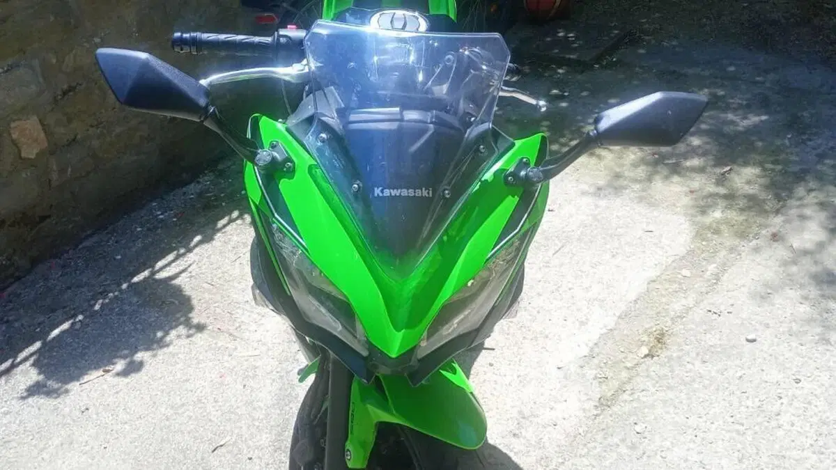 Kawasaki Ninja 650 (2017 - 19)  (2)