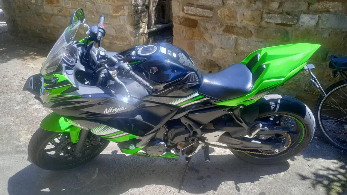 Kawasaki Ninja 650 (2017 - 19)  (3)