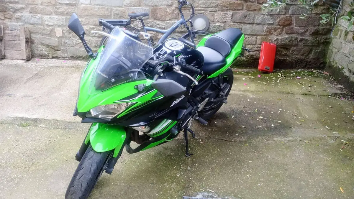 Kawasaki Ninja 650 (2017 - 19)  (4)