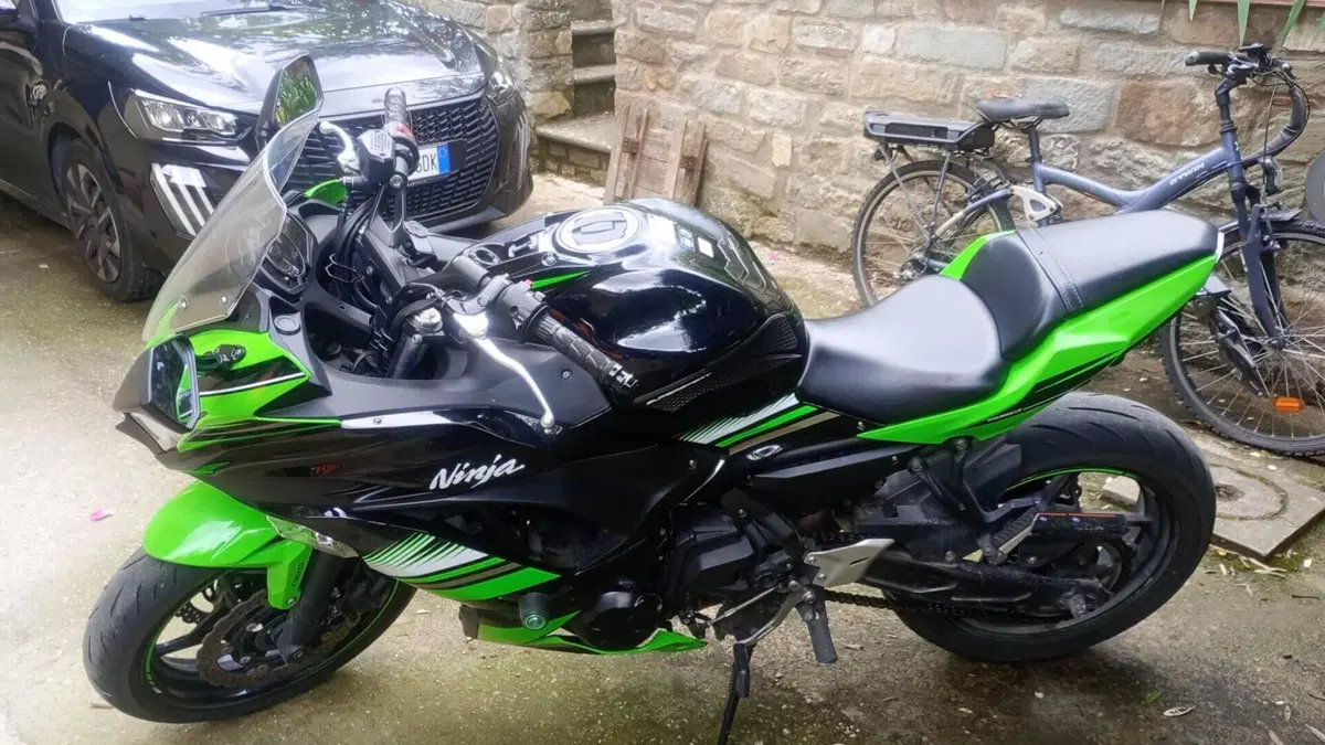 Kawasaki Ninja 650 (2017 - 19)  (5)