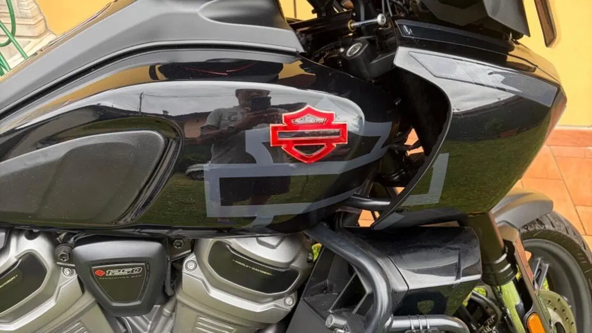 Harley-Davidson Pan America 1250 Special (2020 - 25)  (5)