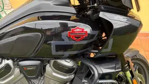 Harley-Davidson Pan America 1250 Special (2020 - 25)  (5)