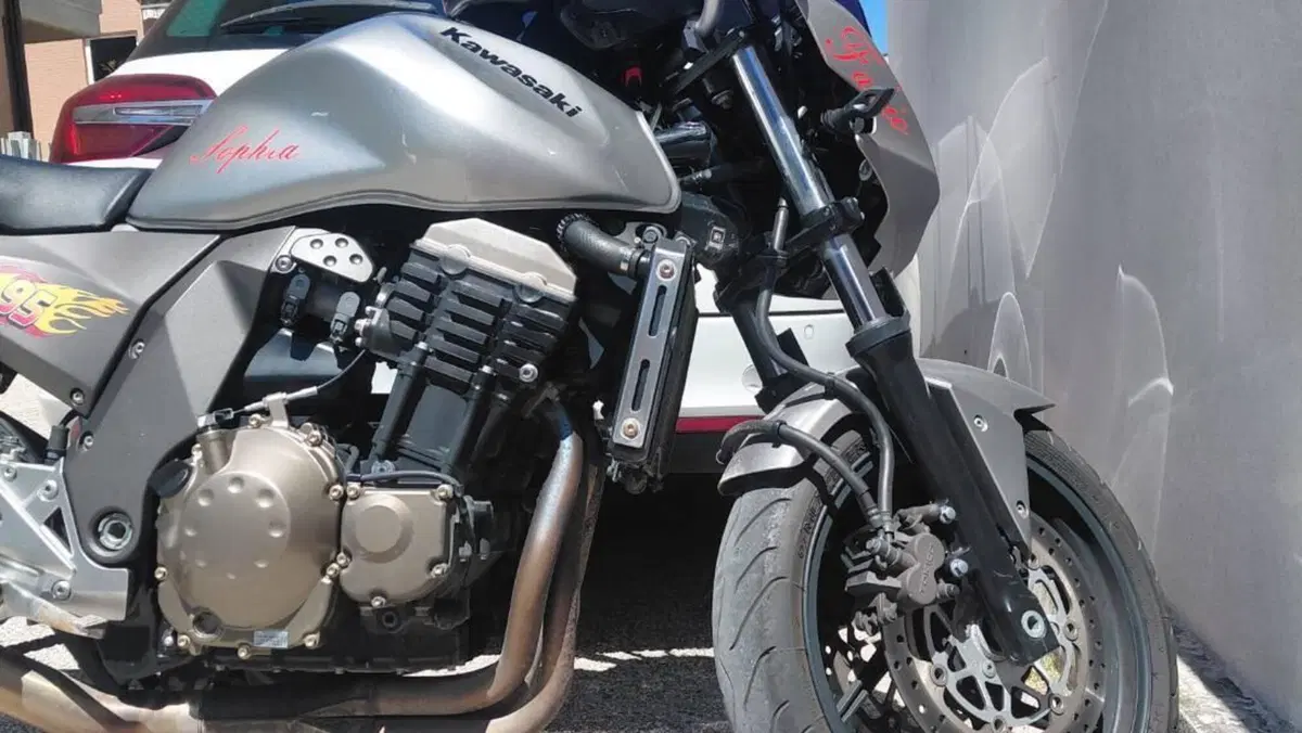 Kawasaki Z 750 (2003 - 06) 