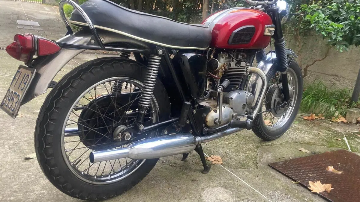 Triumph   (3)
