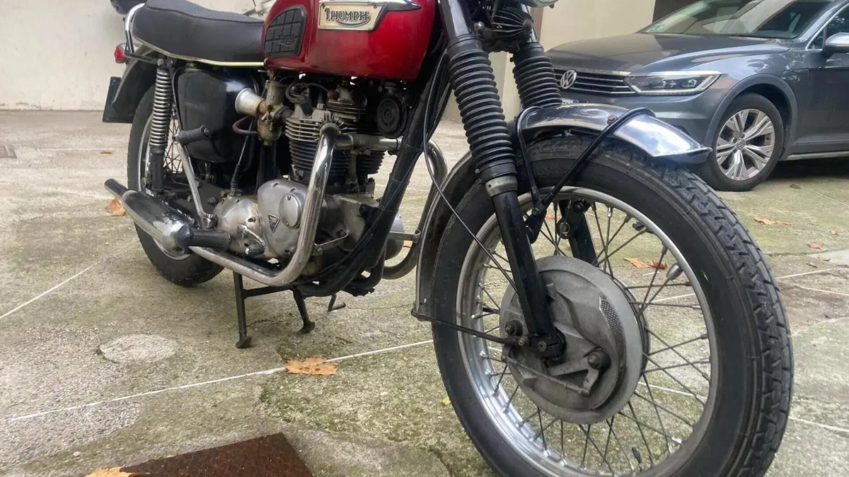 Triumph   (4)