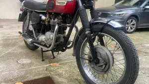 Triumph   (4)