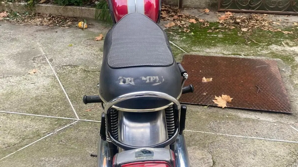 Triumph   (5)