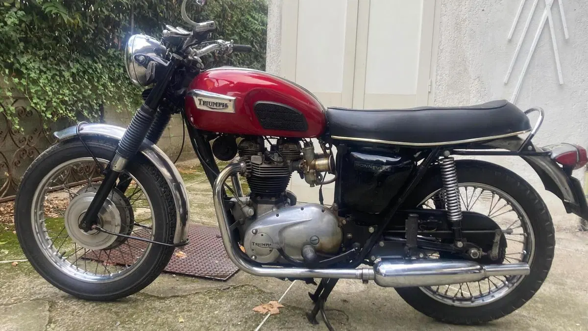 Triumph   (6)