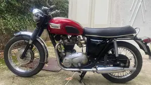 Triumph   (6)