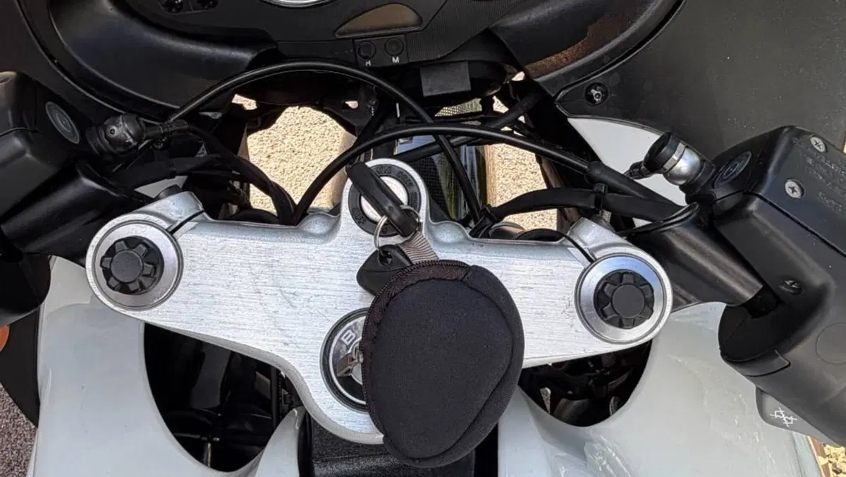 Bmw R 1100 S Replika  (2)
