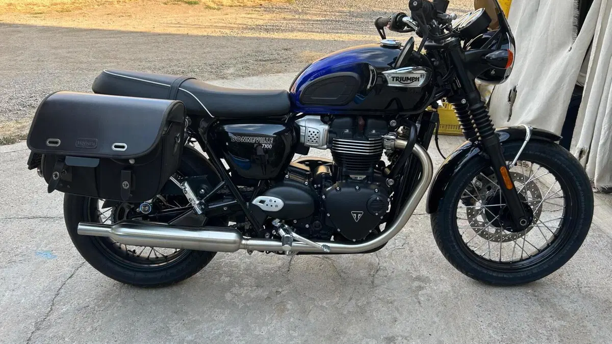 Triumph Bonneville T100 Stealth Edition (2024)  (9)