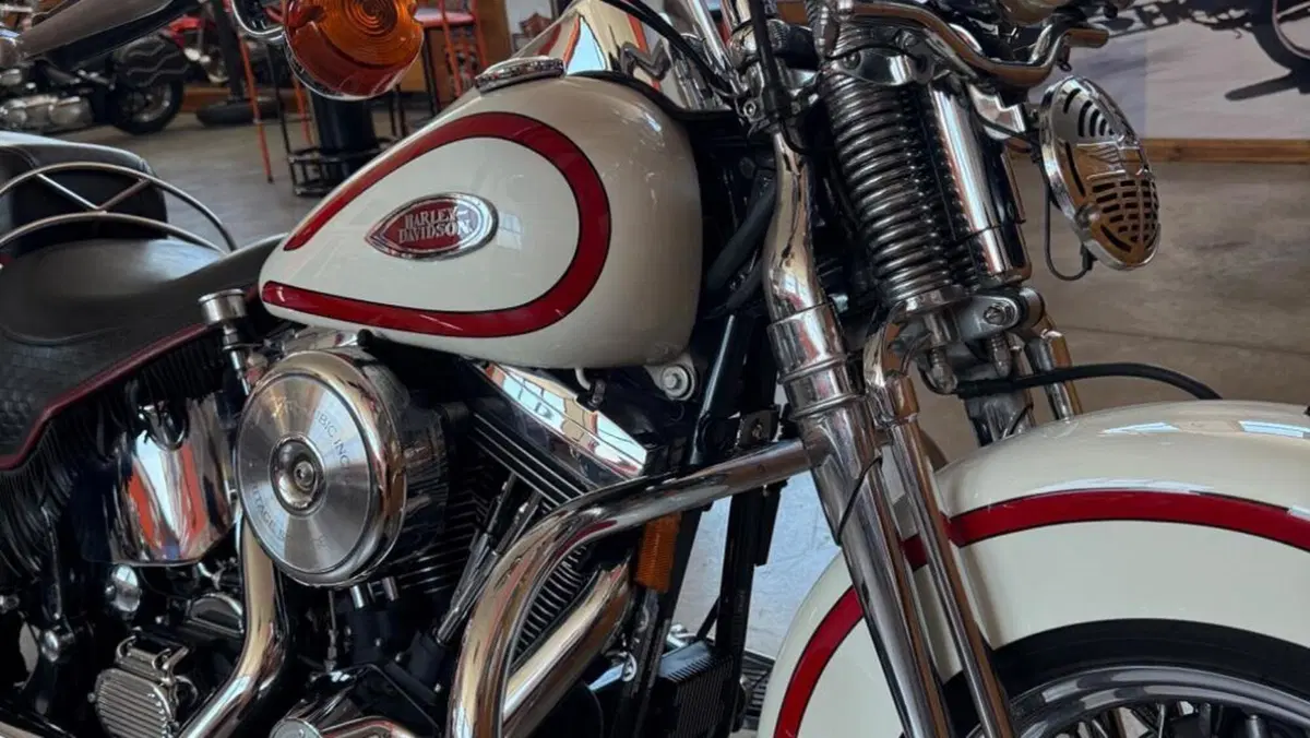 Harley-Davidson 1340 Heritage Springer (1997 - 99) - FLSTS  (6)