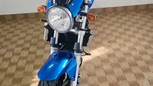 Suzuki SV 650 (2006 - 11)  (6)