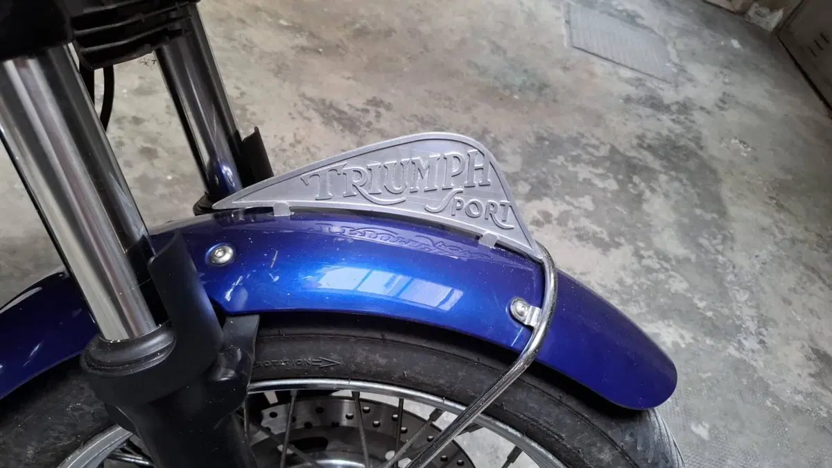 Triumph Bonneville T100 (2008 - 16)  (3)